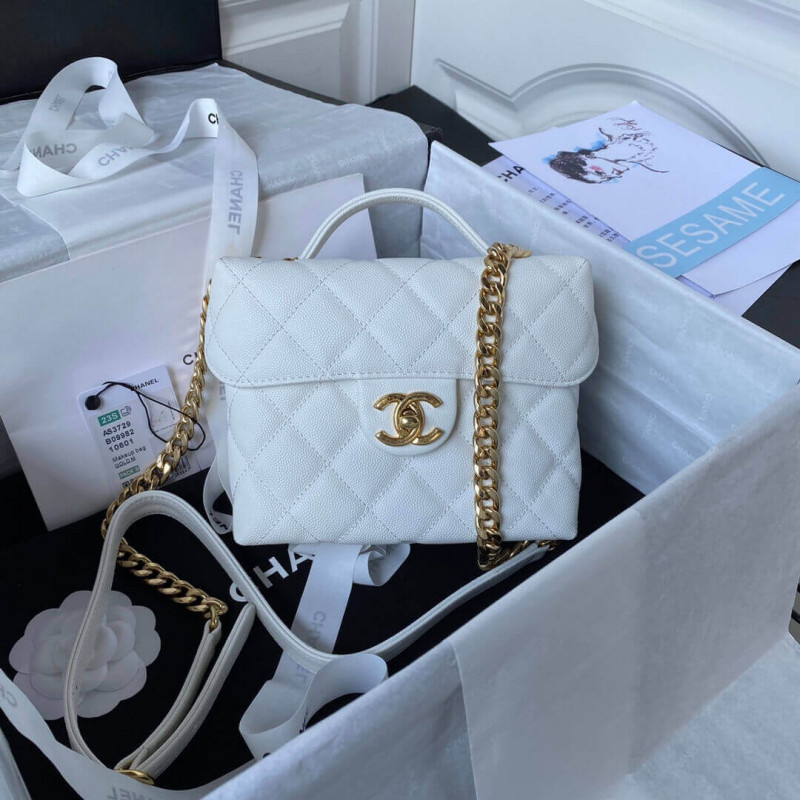 Chanel Grained Calfskin Small Vanity Case AS3729