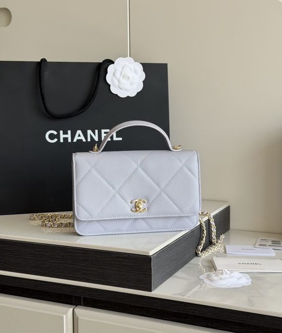 Chanel Handle WOC Wealth Bag with Rotating Logo AP5031