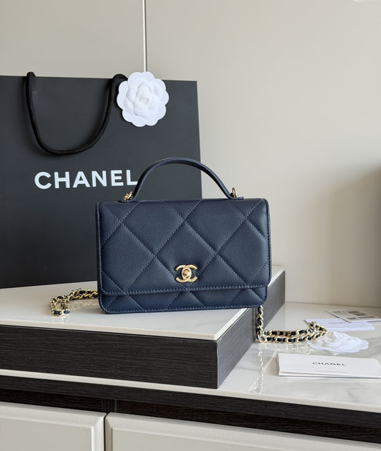 Chanel Handled WOC Bag Elegant Small Shoulder Bag AP5031