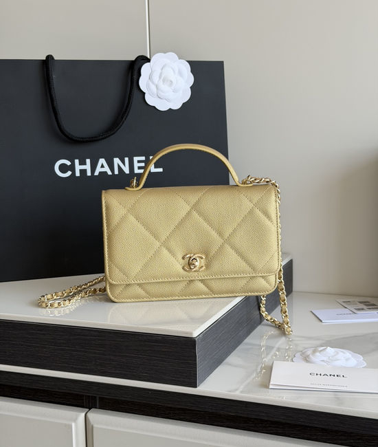 Chanel Handled WOC Crossbody Bag Luxury Rotating Logo AP5031