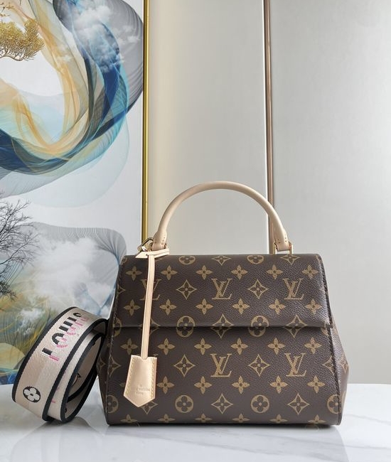 Louis Vuitton LV CLUNY Monogram Crossbody Bag M46273