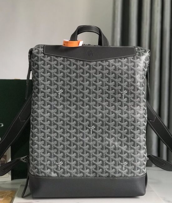 Goyard Cisalpin Practical Structured Backpack 11404