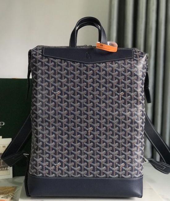 Goyard Cisalpin Practical Structured Backpack 11402
