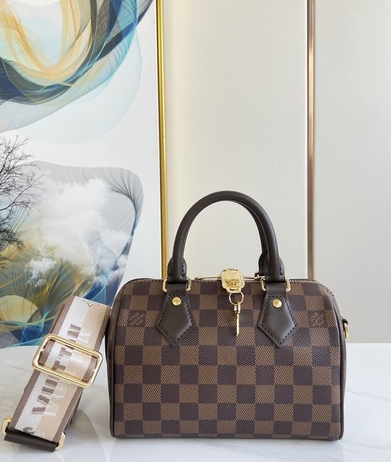 Louis Vuitton LV SPEEDY Damier Ebene Handbag N40489