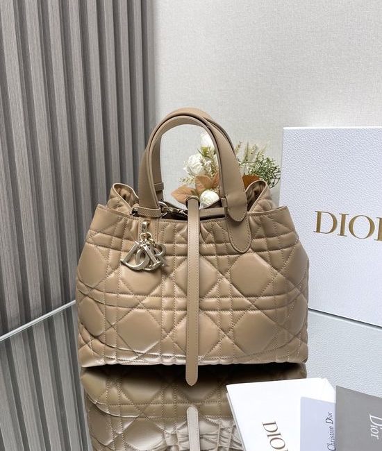 Christian Dior CD Toujours Medium Handbag 2821