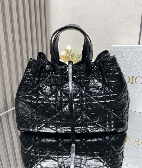 Christian Dior CD Toujours Handbag 2823