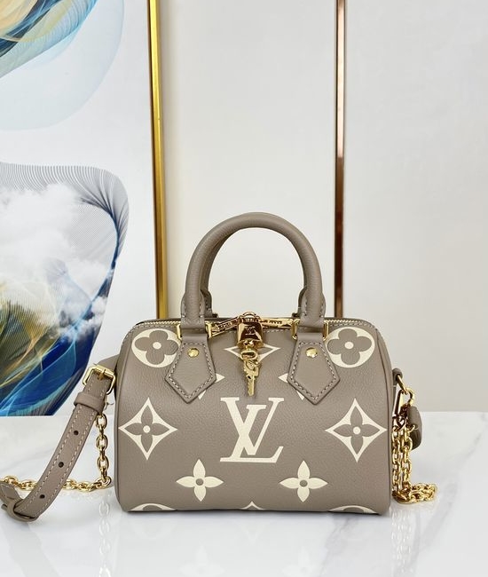 Louis Vuitton LV Speedy Gray Leather Handbag M46575