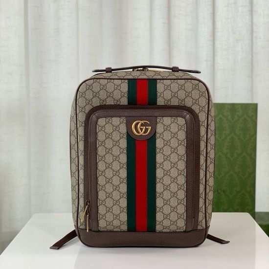 Gucci Ophidia GG Medium Backpack 745718