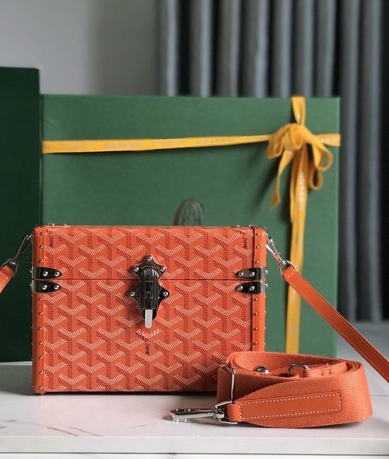Goyard Cassette Box Bag 2101
