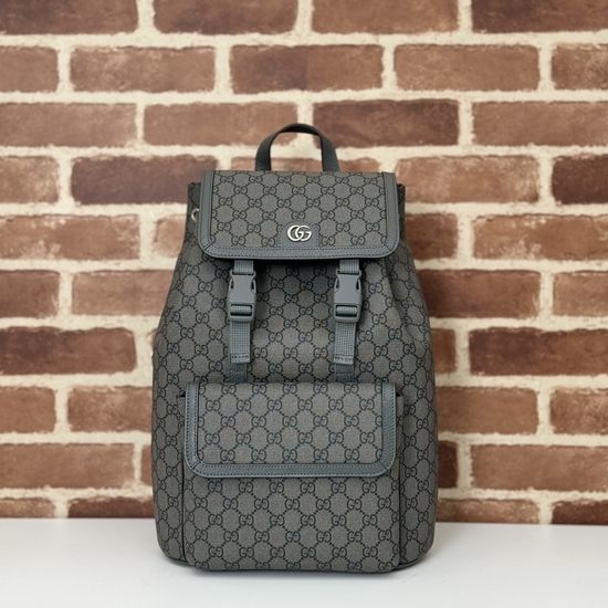 Gucci Large Bag Gray PVC 792114