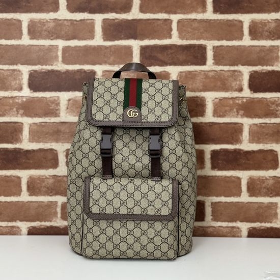 Gucci Large Bag Brown PVC 792114
