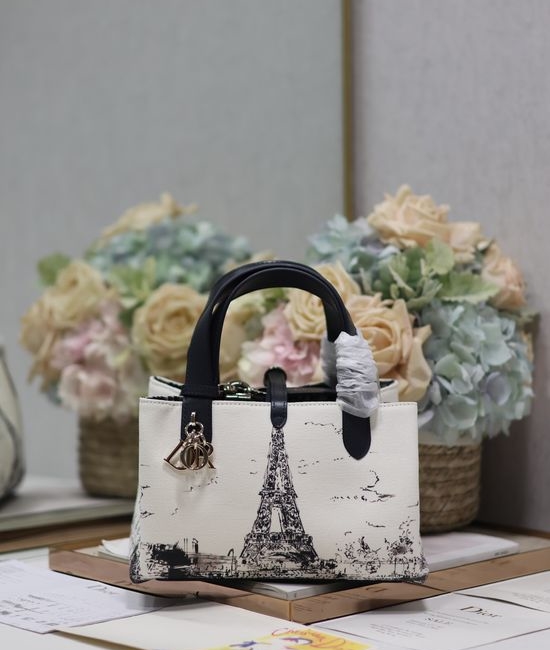 Christian Dior CD Toujours Small Handbag 1188