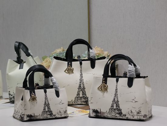 Christian Dior CD Christian Dior CD TOUJOURS Canvas Leather Handbag 1188