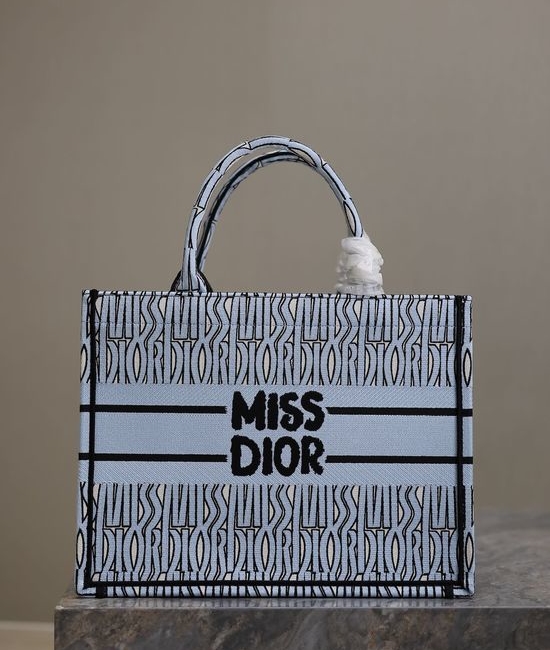 Christian Dior CD Book Tote Light Blue Medium 1286