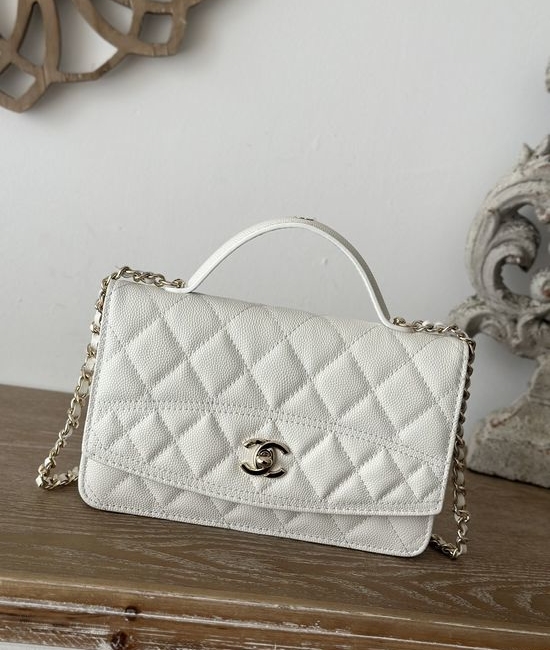 Chanel WOC Organizer Handbag Crossbody Bag 66001