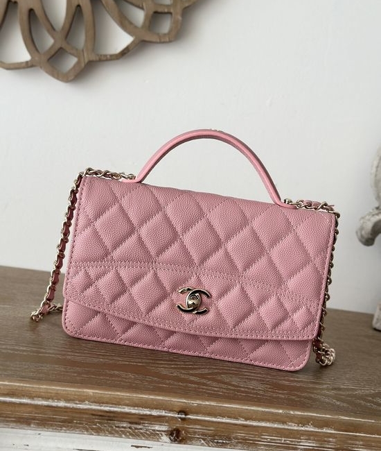 Chanel WOC Organizer Handbag Crossbody Bag 66001