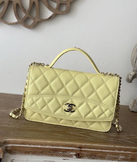 Chanel WOC Organ Bag Grained Calfskin Handbag 66001