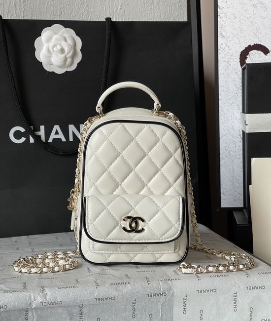 Chanel Quilted Dual Color Backpack AS3753