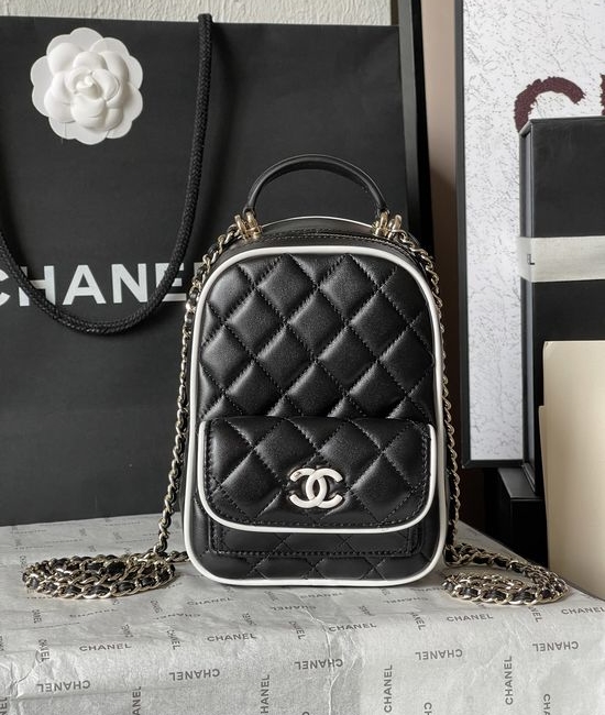 Chanel Quilted Backpack Classic Double C AS3753