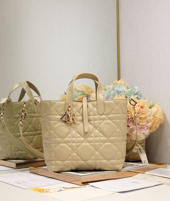 Christian Dior CD Toujours Medium Vertical Handbag 2836