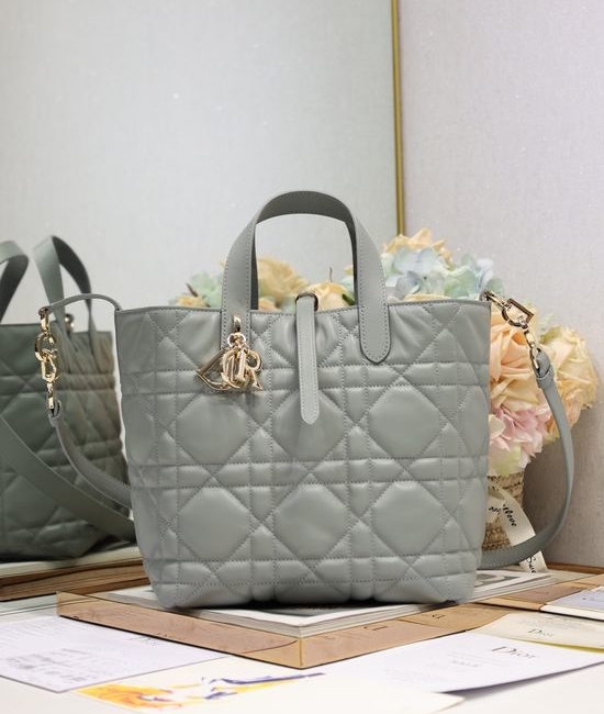 Christian Dior CD Toujours Medium Gray Handbag 2836