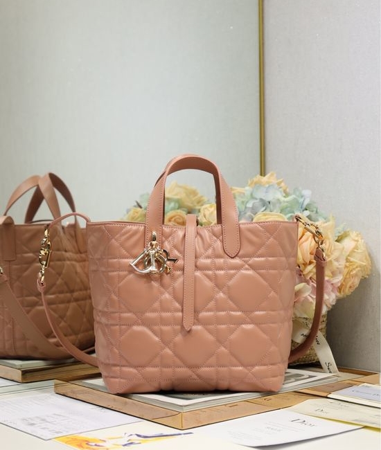 Christian Dior CD Toujours Vertical Handbag 2836