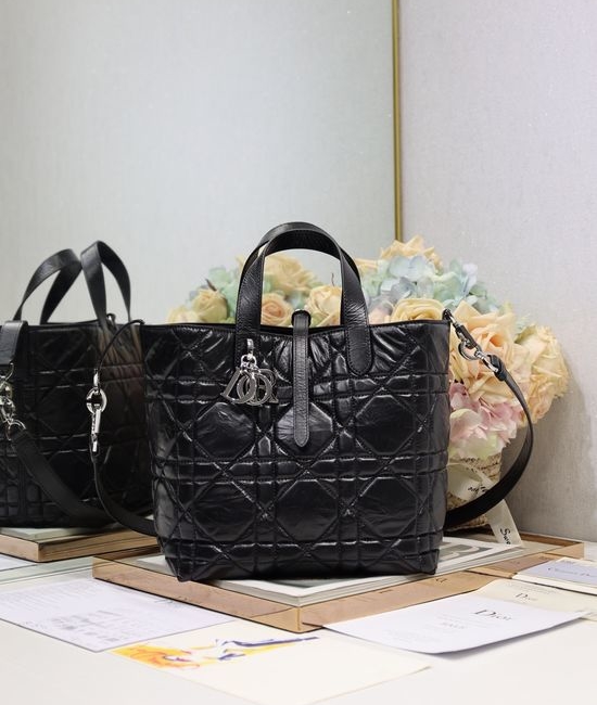 Christian Dior CD Toujours Vertical Handbag 2836
