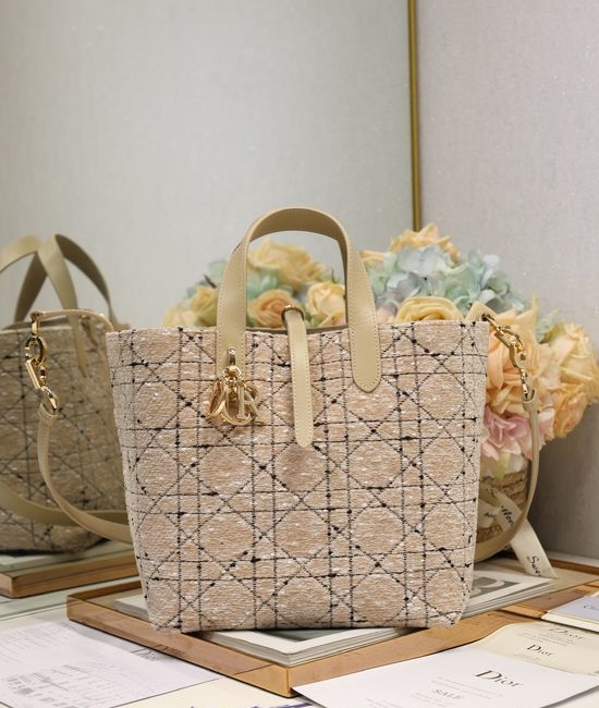 Christian Dior CD Toujours Vertical Tweed Bag 2836