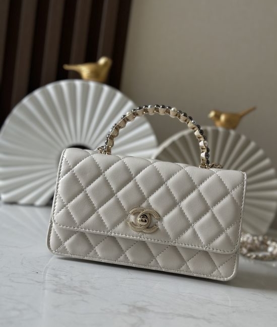 Chanel WOC Handbag 66048