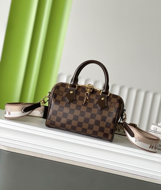 Louis Vuitton LV SPEEDY Monogram Handheld Bag N40489