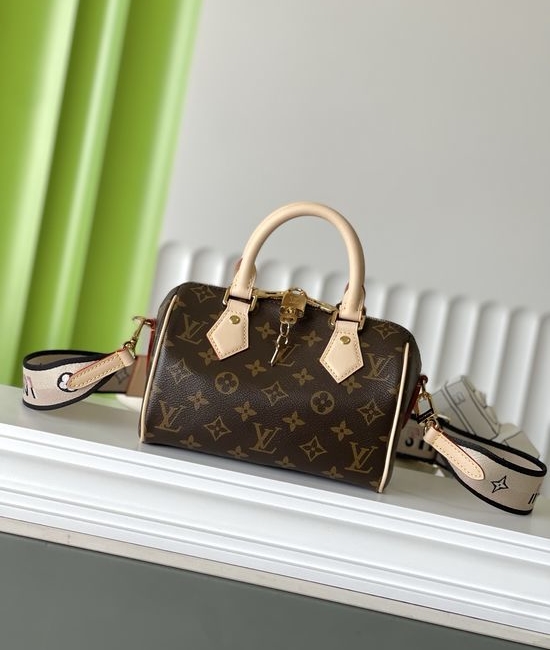 Louis Vuitton LV SPEEDY Monogram Pillow Bag M46234