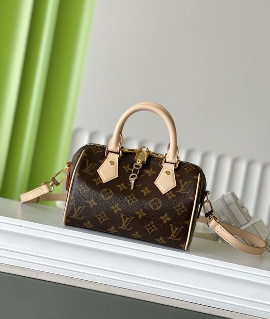 Louis Vuitton LV Speedy Monogram Satchel M46234