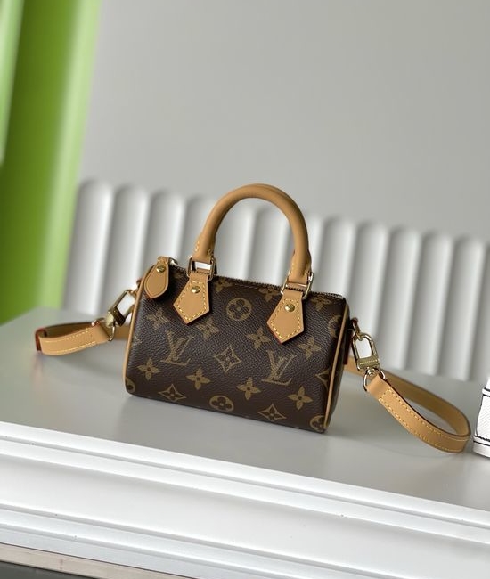 Louis Vuitton LV NANO SPEEDY Mini Pillow Bag 6855