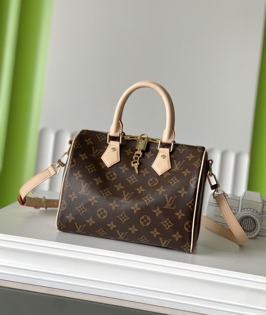 Louis Vuitton LV Monogram Speedy Handbag M41113