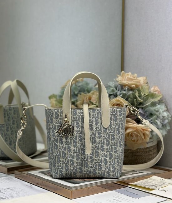 Christian Dior CD Toujours Vertical Bag Gray Oblique 2836