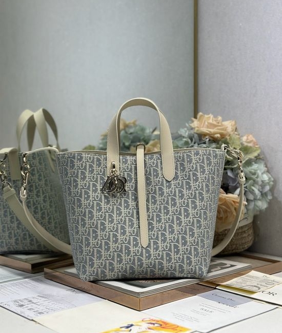 Christian Dior CD Toujours Vertical Handbag Gray Oblique 2836
