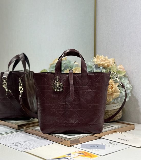 Christian Dior CD Toujours Vertical Handbag 2836