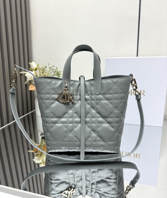 Christian Dior CD Toujours Vertical Medium Handbag M2836