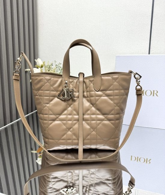 Christian Dior CD Toujours Vertical Bag M2836