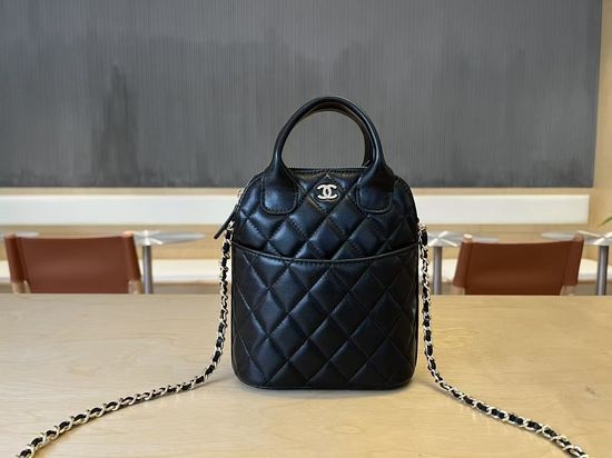 Chanel Metiers d Art Shell Bag AP4842