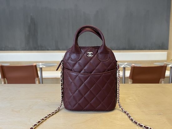 Chanel Metiers d Art Shell Bag AP4842