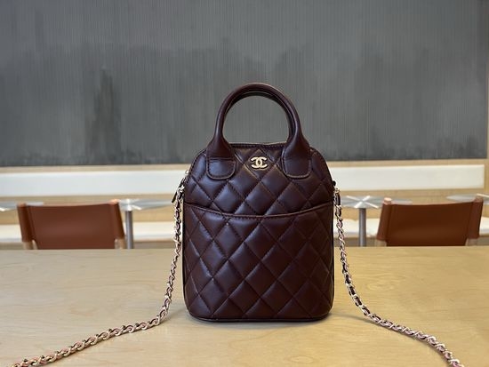 Chanel 25A Metier d Art Shell Bag AP4842