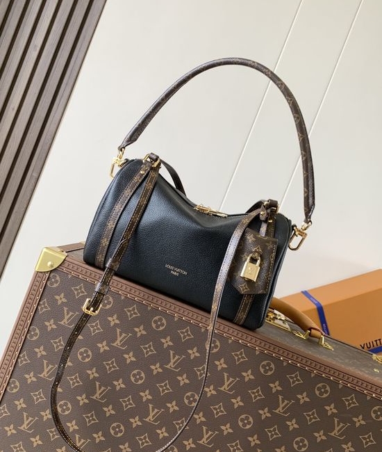 Louis Vuitton LV Express Small Handbag M26360