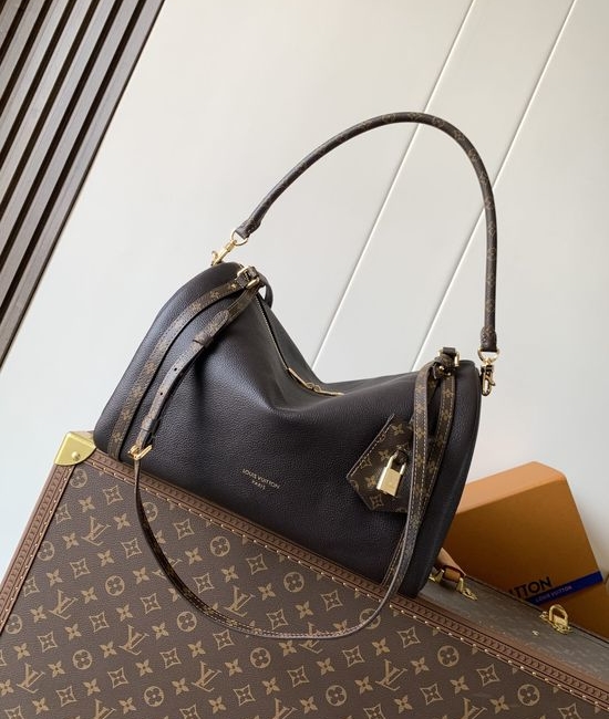 Louis Vuitton LV Express Medium Handbag M26359