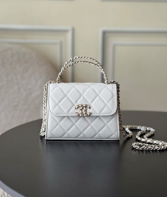 Chanel Kelly Handle Bag Exclusive Haas Leather 96148