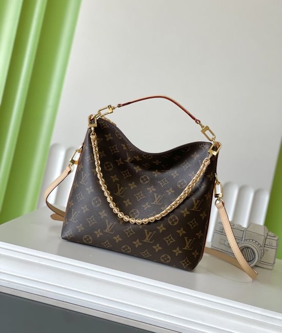 Louis Vuitton LV MULTIPASS Monogram Chain Bag M27825