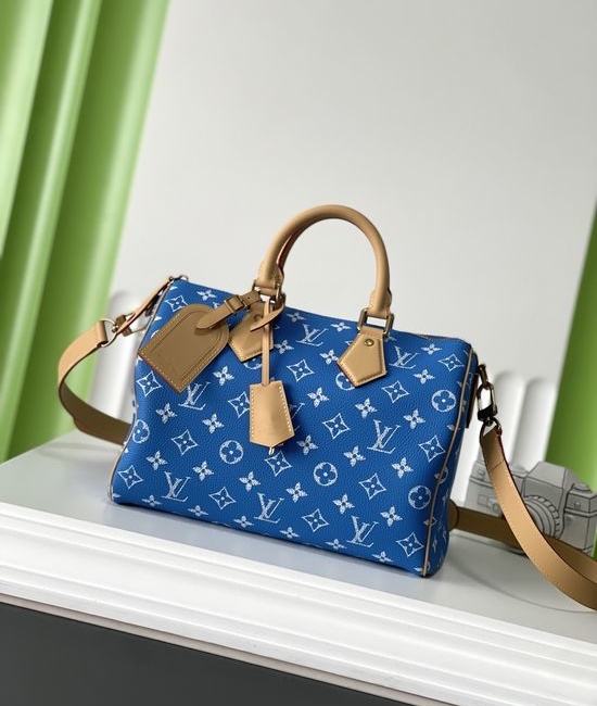 Louis Vuitton LV Speedy Leather Pillow Bag M14074