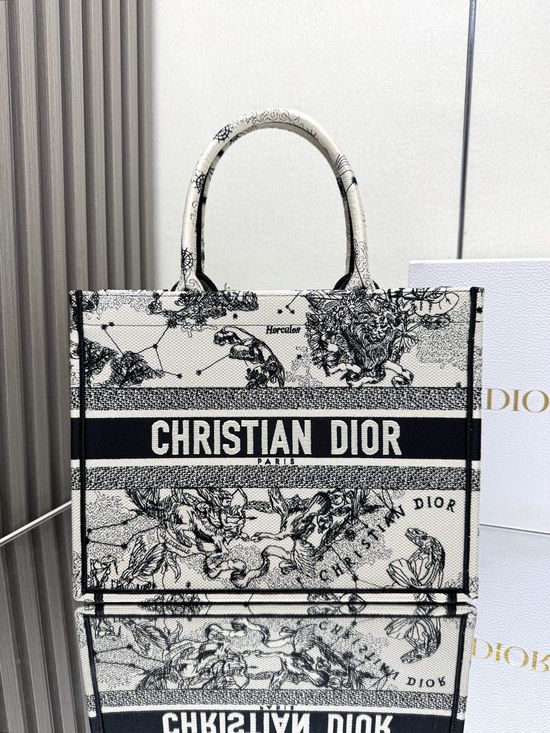 Christian Dior Medium Constellation Tote Embroidered