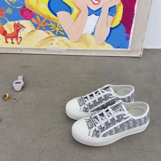 Christian Dior Embroidered Canvas Shoes with Soft Comfortable Lining