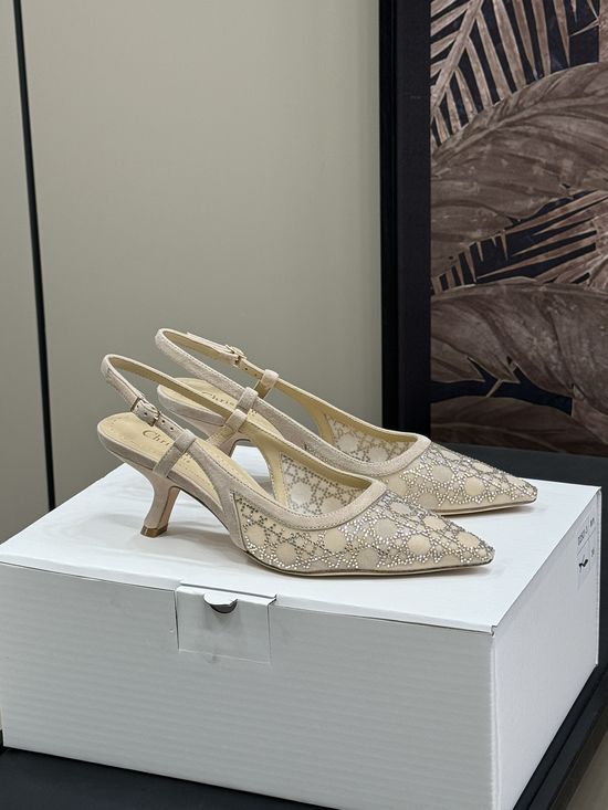 Christian Dior Mesh Rhinestone High Heels With Sheepskin Lining